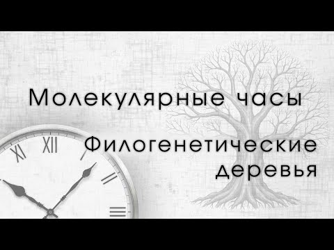Видео: Молекулярные часы и построение филогенетических деревьев.