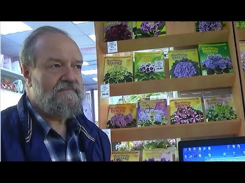 Видео: ДФ. В.Н.Калгин.Презентация глоксиний Е.Николаевой.