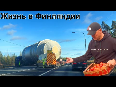 Видео: Что то привезли. Работа. Готовимся к зиме. Влог