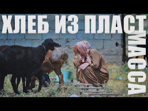 Видео: “Аз партовгоҳҳо ашёҳои пластикӣ ҷамъ карда рӯз мебарам” | “Собираю пластмассы, чтобы кормить семью»
