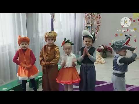 Видео: 7 ноября 2025 г.