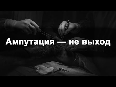 Видео: Реконструктивная хирургия конечностей при боевой травме: тактика, этапность, решения