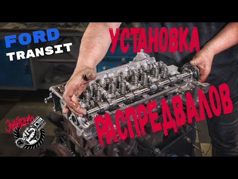 Видео: Установка распредвалов. Ford Transit TDCI