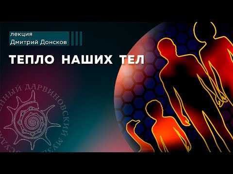 Видео: Тепло наших тел
