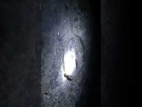 Видео: Сканов-пещерный мужской монастырь.