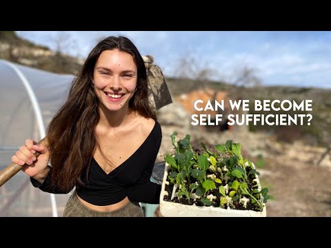 Видео: ЖИЗНЬ БЕЗ СЕТИ В ГОРАХ | Заброшенные земли в самодостаточное жилище | Строительство теплицы