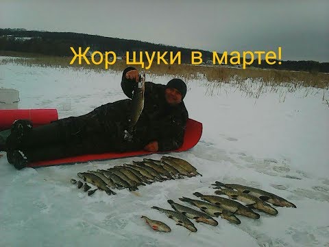 Видео: ЛОВЛЯ ЩУКИ  НА ЖЕРЛИЦЫ В МАРТЕ