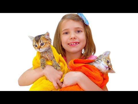 Видео: ВЛОГ с котятами от Макс и Катя