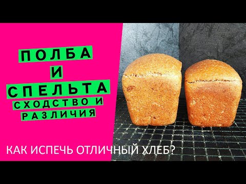 Видео: Полба и Спельта: разница и сходство | Как испечь идеальный хлеб?