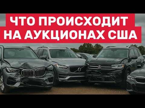 Видео: БИТКИ И АБСОЛЮТНО ЦЕЛЫЕ МАШИНЫ вот что творится на аукционах в США!