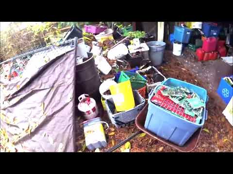 Видео: Вернулся ко мне во двор, убираю гараж перед моим Рено