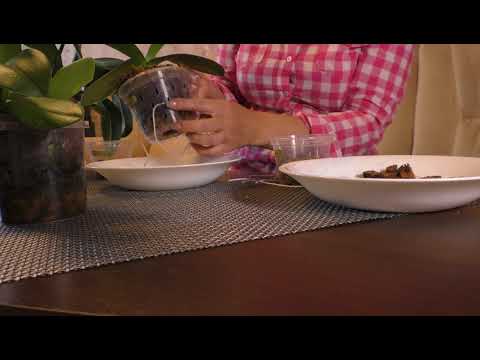 Видео: 🔵 ПРОВЕРЕННЫЕ МЕТОДЫ ПОСАДКИ И ПОЛИВА ОРХИДЕЙ (сухой, мокрые ножки, фитильный). Азы и тонкости.