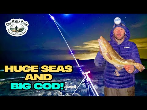 Видео: Самая крупная треска сезона на данный момент | Нортумберленд | Рыбалка на северо-востоке трески