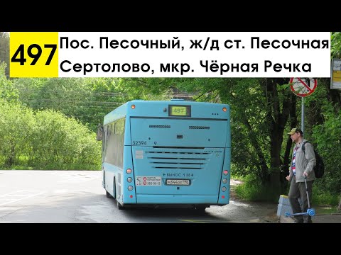 Видео: Автобус 497 "Сертолово, мкр. Чёрная Речка - пос. Песочный, ж/д ст. "Песочная" (старая трасса)
