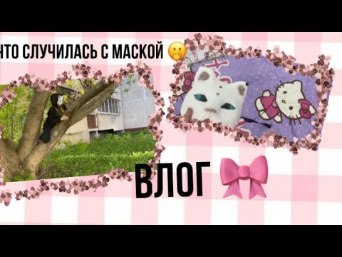 Видео: Квадробика влог❤️/что случилась 🫢