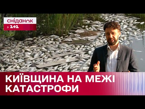 Видео: Столиця під загрозою! Забруднення з річки Сейм дійшла до Київщини!