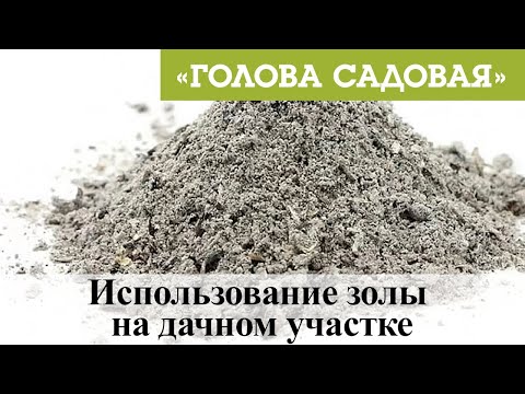 Видео: Голова садовая - Использование золы на дачном участке