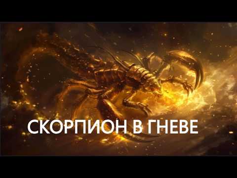Видео: 13 черт характера типичного Скорпиона