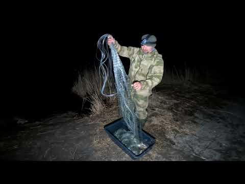 Видео: Кастинговая сеть рыбалка 2024. Рыбалка ночью. Кастинговая сеть американка. Рыбалка на сазана - ждем.