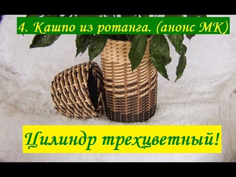 Видео: Кашпо из ротанга. МК Цилиндр цветной.  Анонс.