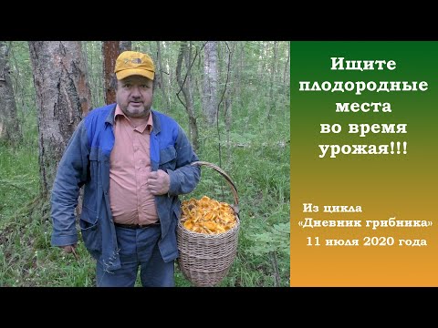 Видео: Ищите плодородные места во время урожая!!!