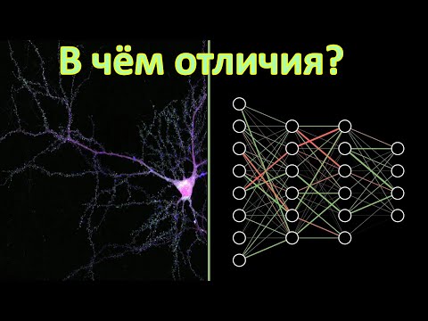Видео: Как работает нейросеть и чем она отличается от нервной системы