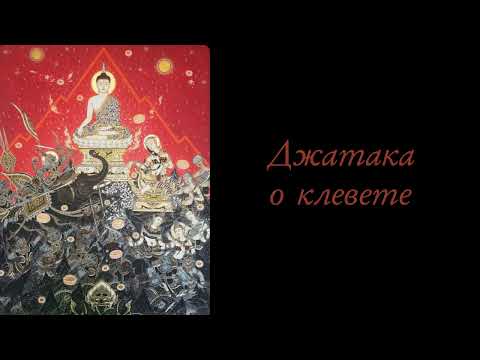 Видео: Джатака о клевете