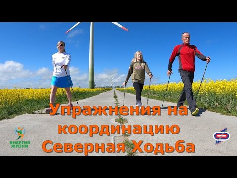 Видео: упражнения на координацию северная ходьба