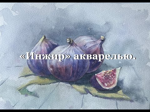 Видео: Фрукты акварелью. "Инжир". Процесс рисования.