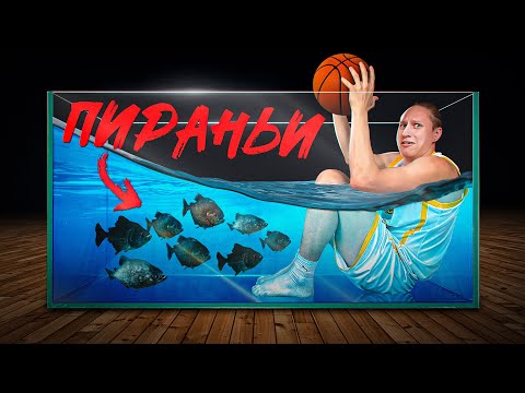 Видео: КТО ПОСЛЕДНИЙ ЗАБЬЕТ - САДИТСЯ В АКВАРИУМ С ПИРАНЬЯМИ!