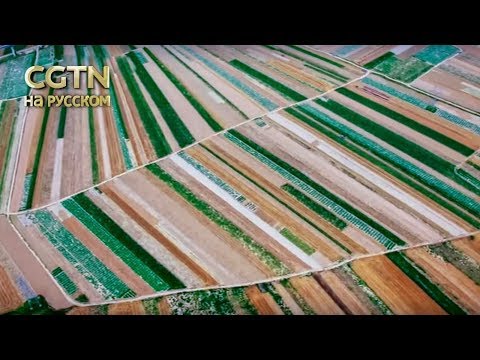 Видео: Инженерные суперпроекты Серия 5 24 часа мегаполиса Часть 1