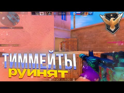 Видео: Тиммейты руинят мне игру, а я её выиграл!😎 | Standoff 2