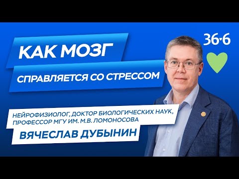 Видео: Профессор Вячеслав Дубынин с советами по преодолению стресса в современной жизни #дубынин #стресс