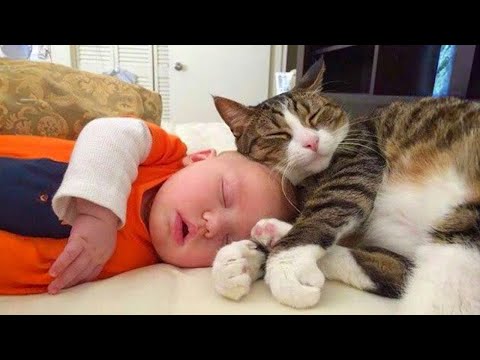 Видео: Когда твой кот — лучшая нянька 👶❤️🐱 Милые котики и маленький человечек