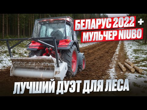 Видео: На что способен наш трактор Беларус-2022 с лесным мульчером NIUBO ?