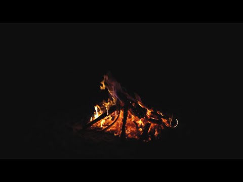 Видео: Осенние травяные жуки, костер, горящие дрова ASMR