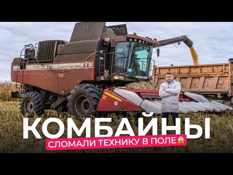 Видео: Молотят всё! Сравниваем немецкий комбайн CLAAS и белорусский «Гомсельмаш» в поле.