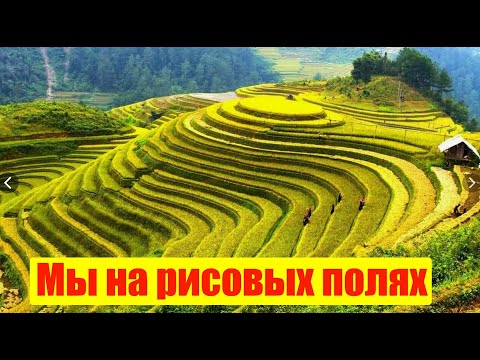 Видео: Рисовые поля, Гуйлинь, Китай (Сент 2024)