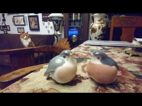 Видео: Анжелика Снежинская. Мерзость всея Ютуба... 