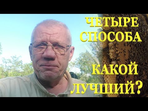 Видео: Уйти от роения Бороться или возглавить роение пчел