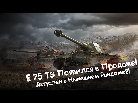 Видео: E 75 TS в Продаже! Всё ещё Актуален? Tanks Blitz.