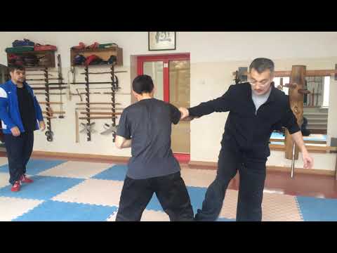 Видео: День 5.2. Симетрия и асиметрия.