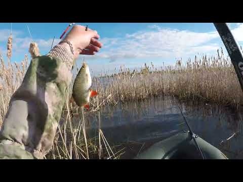 Видео: Рыбалка в камыше на поплавок! Все как в детстве!