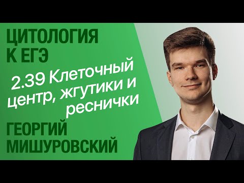 Видео: 2.39. Микротрубочки, клеточный центр, жгутики и реснички | Цитология к ЕГЭ | Георгий Мишуровский