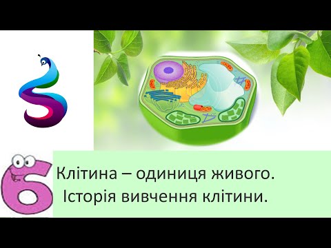 Видео: Клітина – одиниця живого. Історія вивчення  клітини.