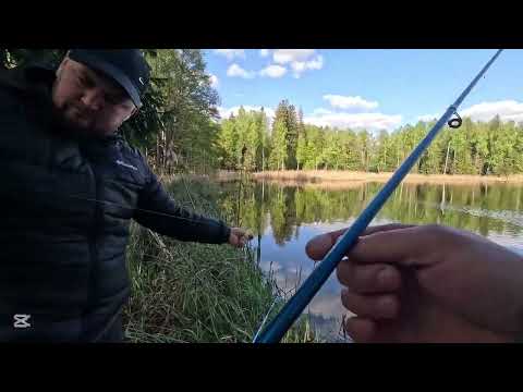 Видео: Рибалка на ставку в лісі