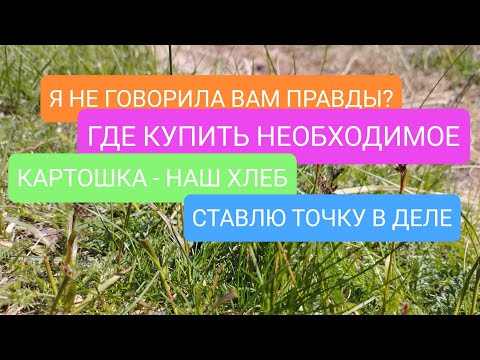 Видео: ВСЕ!!! ХВАТИТ ОБ ЭТОМ!!!