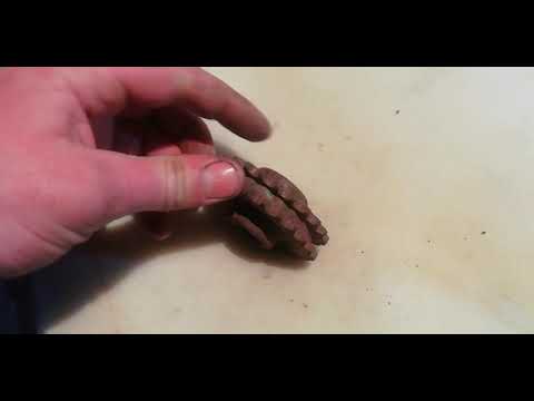 Видео: Соединение на иж с двигателем от мотоблока