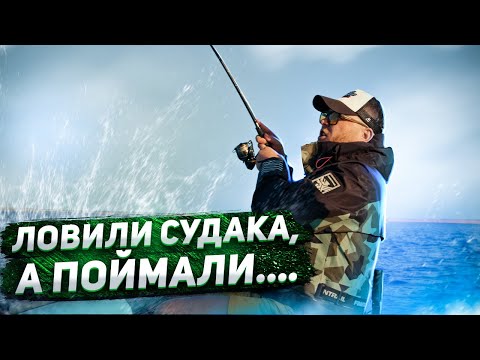 Видео: ЛОВИЛИ СУДАКА, А ПОЙМАЛИ...