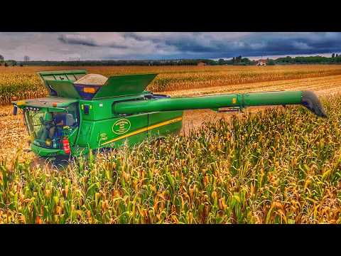 Видео: УРОЖАЙ КУКУРУЗЫ 2024 JOHN DEERE S790i